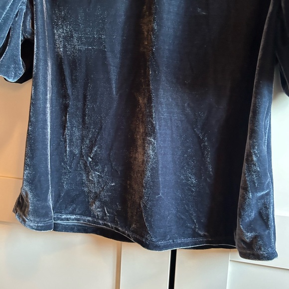 Free People Claudia Velvet Puff Sleeve Blouse - Picture 11 of 15